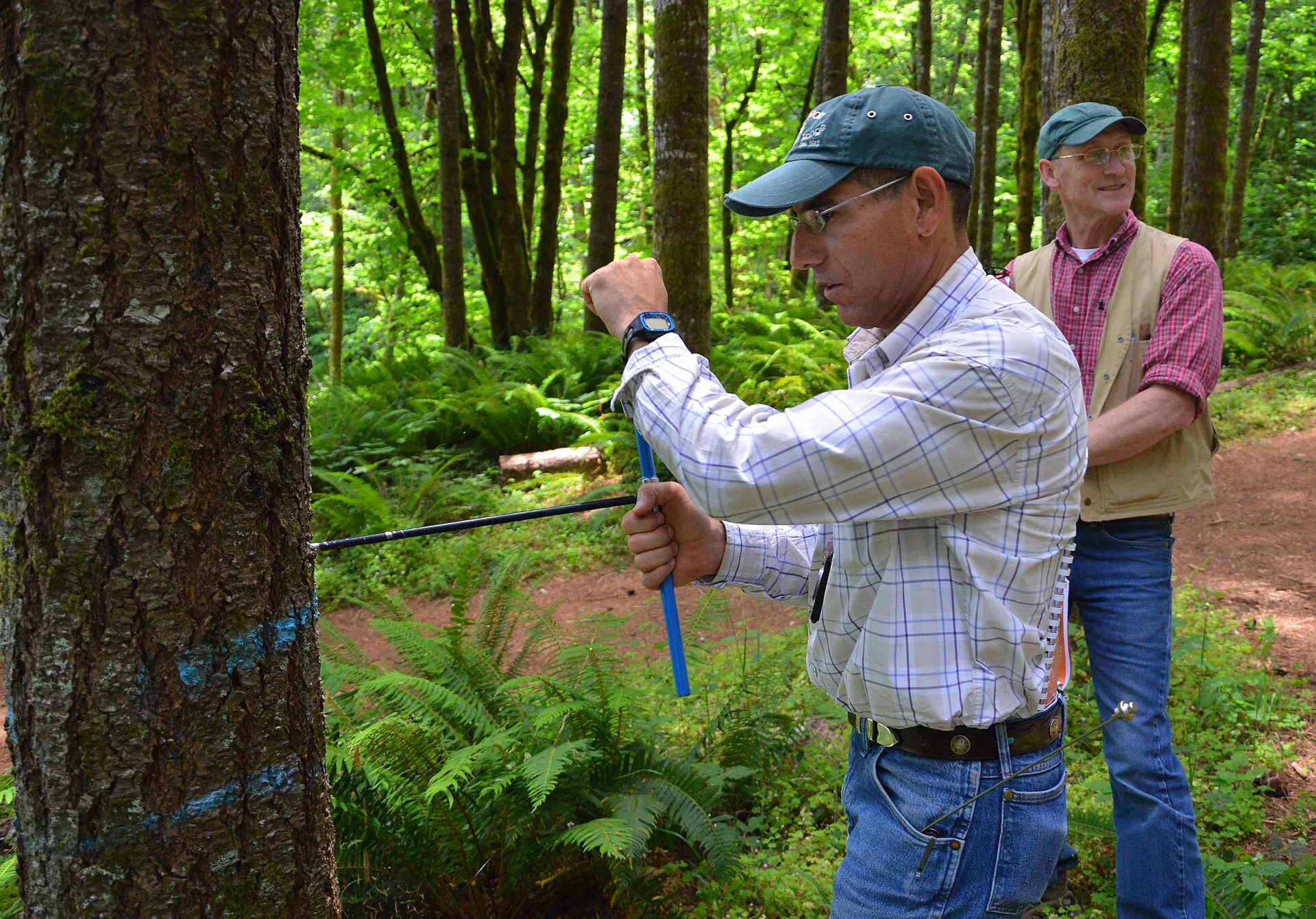 McMINNVILLE, Ore. – Members of the USDA’s Natural Resources Conservation Service and local Soil and Water Conservation Districts gathered at Miller Woods to learn how to inventory a forest stand, June 24, 2015. NRCS Oregon State Forester Misty Seaboldt led the training, which focused on three techni
