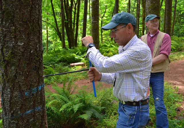 McMINNVILLE, Ore. – Members of the USDA’s Natural Resources Conservation Service and local Soil and Water Conservation Districts gathered at Miller Woods to learn how to inventory a forest stand, June 24, 2015. NRCS Oregon State Forester Misty Seaboldt led the training, which focused on three techni. Pianificare le scorte con una previsione prudente